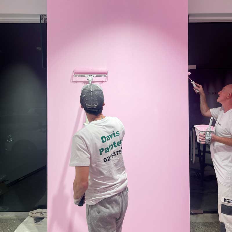 Best Exterior Painters in Mt Wellington